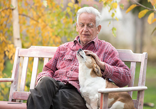 Older man with dog on bench